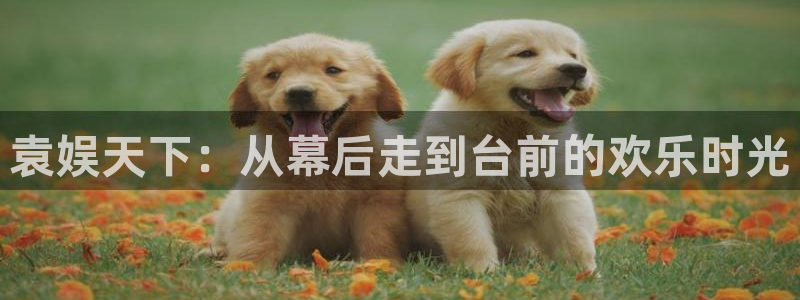 jjb竞技宝：袁娱天下：从幕后走到台前的欢乐时光