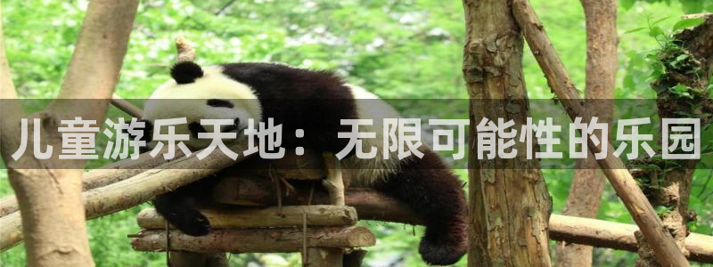 jjb竞技宝：儿童游乐天地：无限可能性的乐园