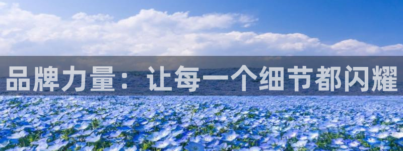 jjb竞技宝app：品牌力量：让每一个细节都闪耀