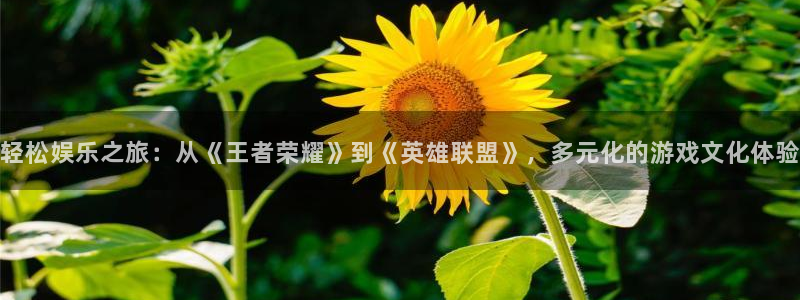 jjb竞技宝app网站：轻松娱乐之旅：从《王者荣耀》到《英雄联盟》，多元化的游戏文化体验